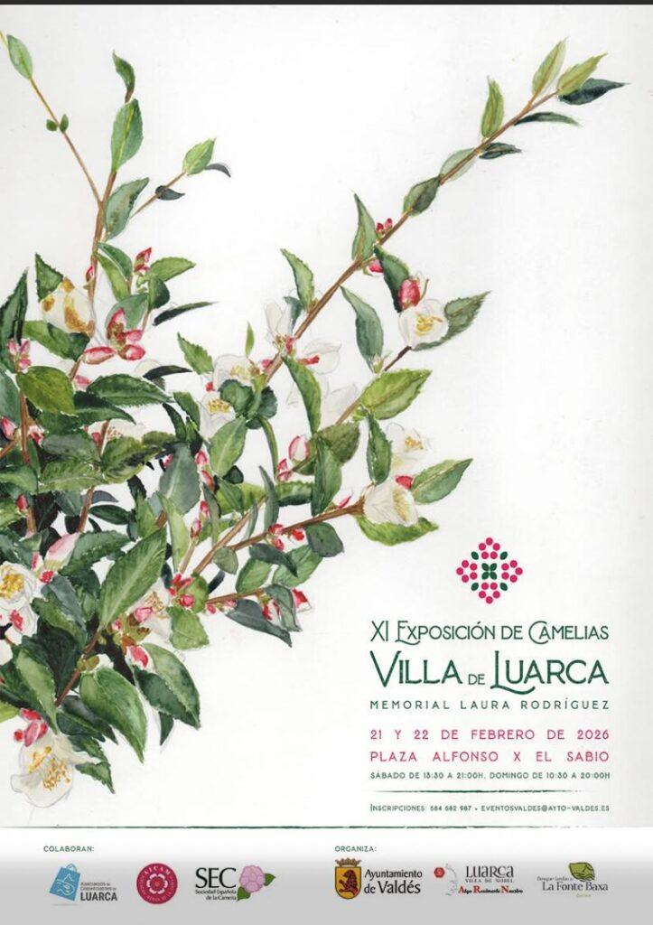 Exposición de Camelias Villa de Luarca